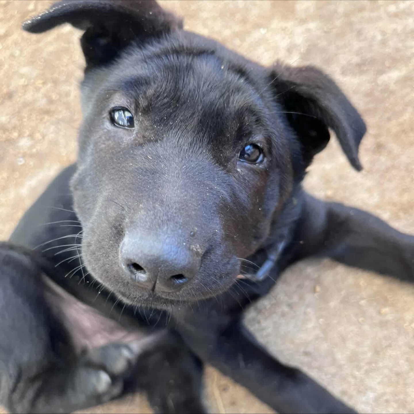 588394134_18311018506301739_6773384695521335870_n