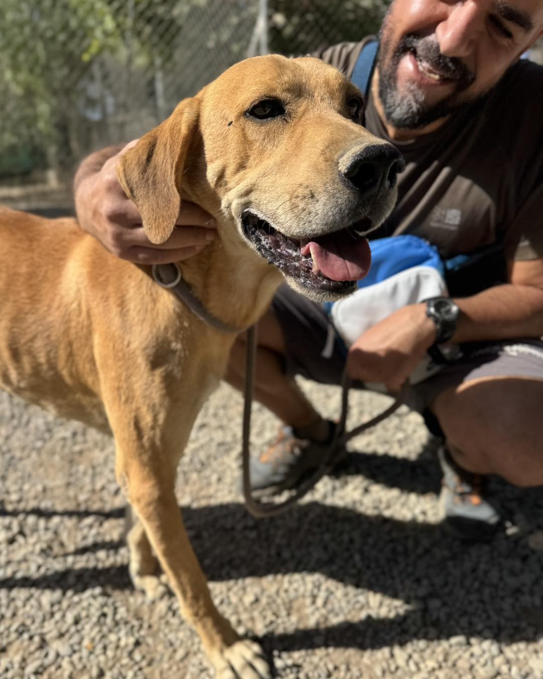 588554003_855857976957381_4382292819683305758_n