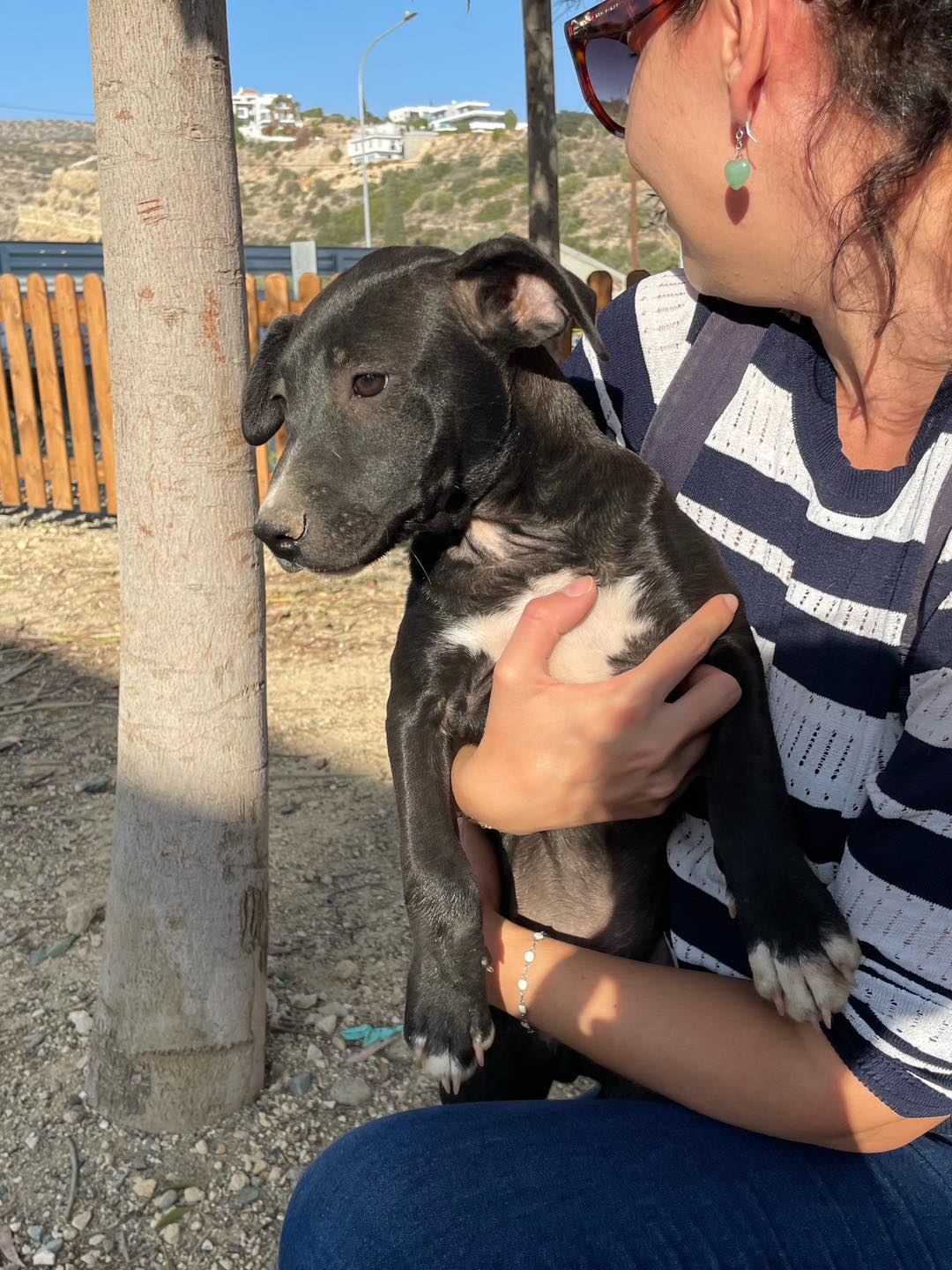 588647048_122160165764771468_9151299334950615506_n-1