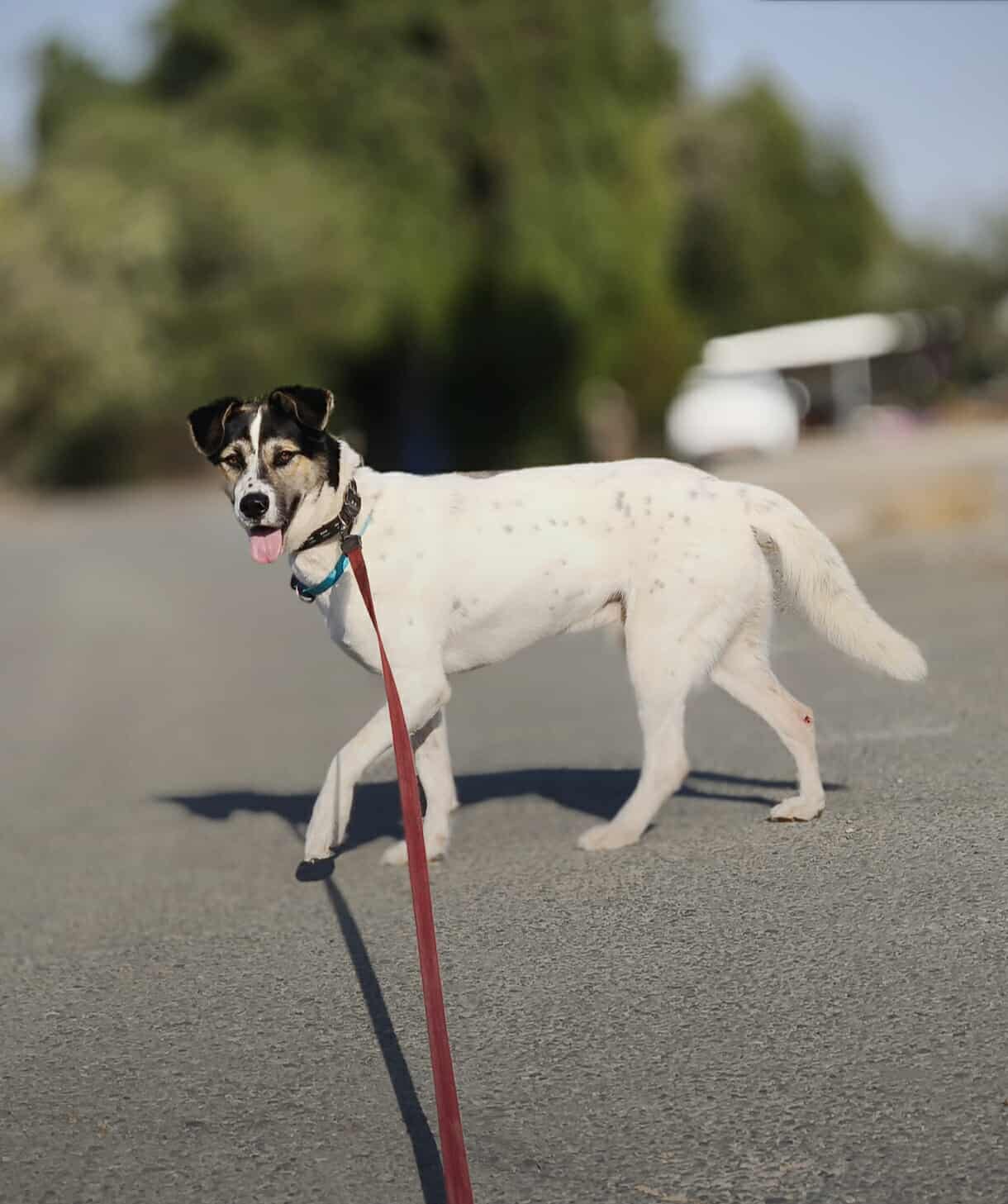 588807782_1274130101422639_2255737125053615009_n