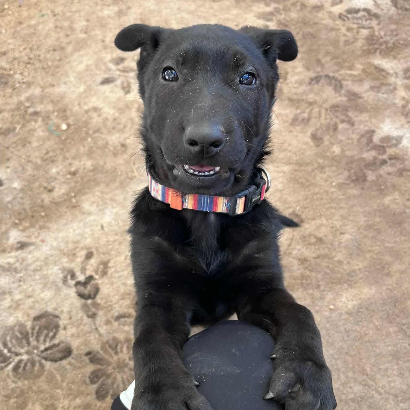 588987232_18311018530301739_1663992417649236125_n