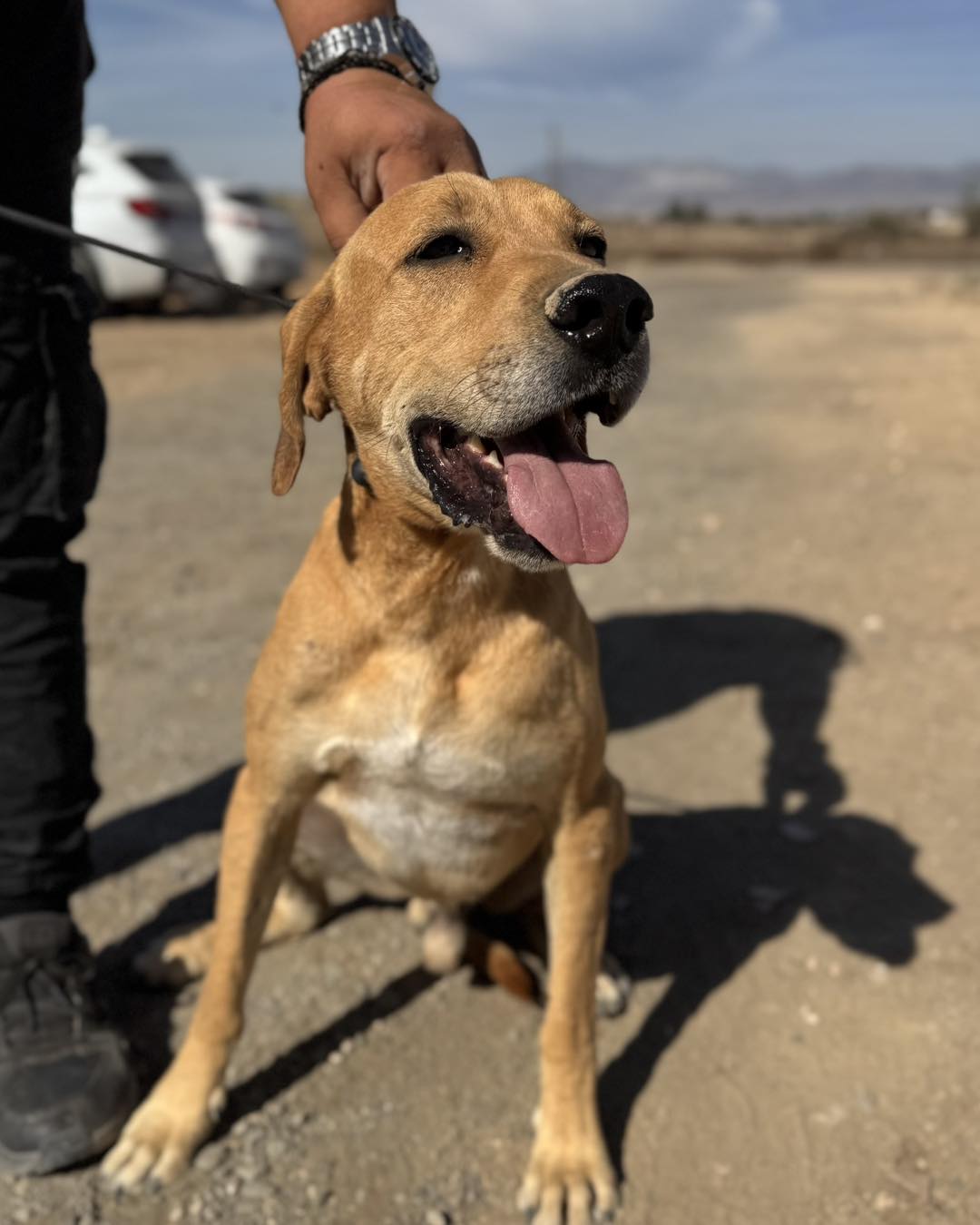 589212016_855857970290715_4508602367094885297_n