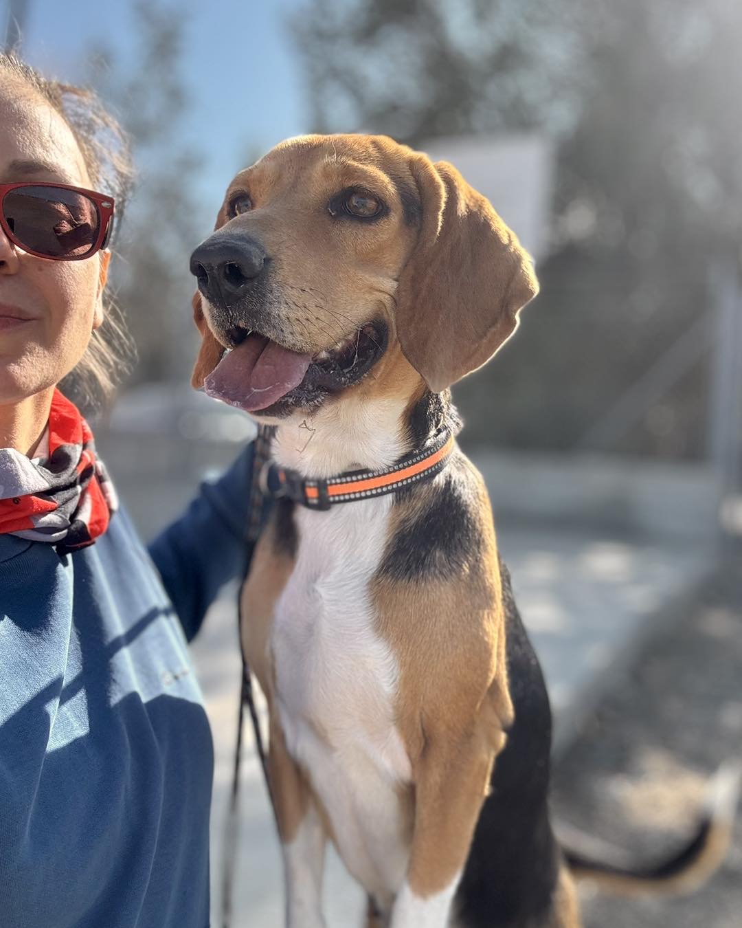 589954268_854287263781119_2963420497254141560_n