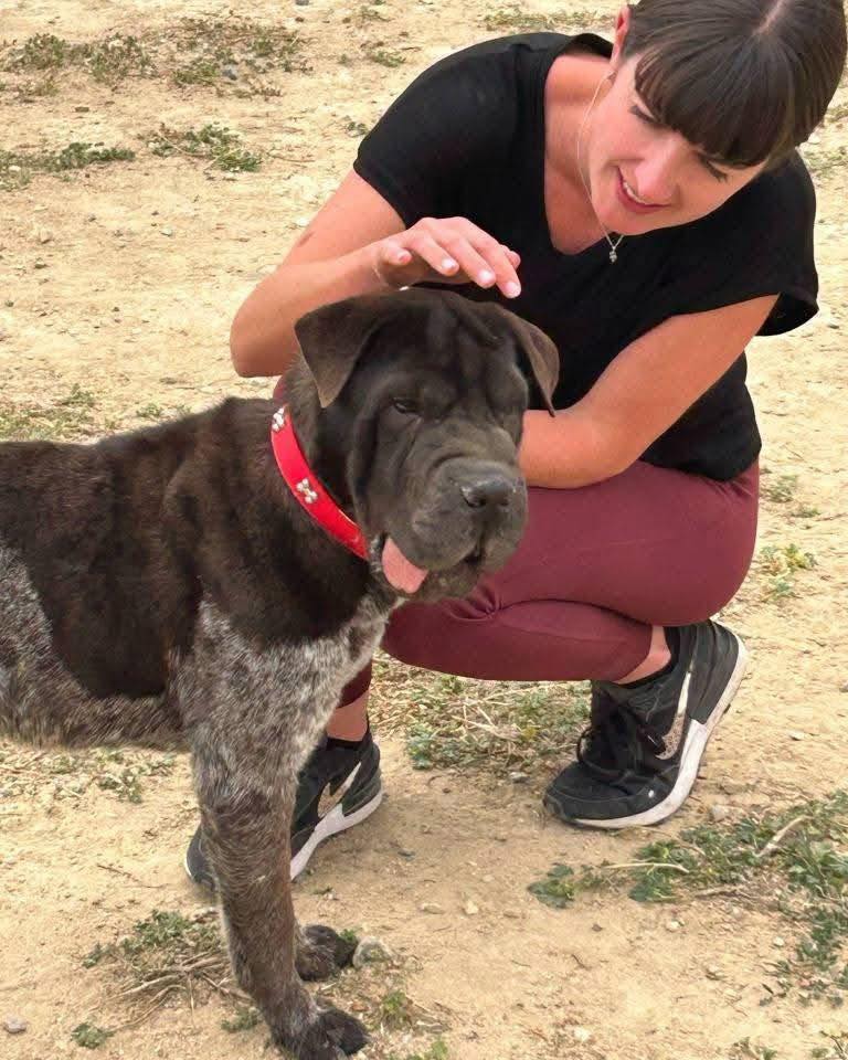 590389692_857856186757560_1106169607825156262_n