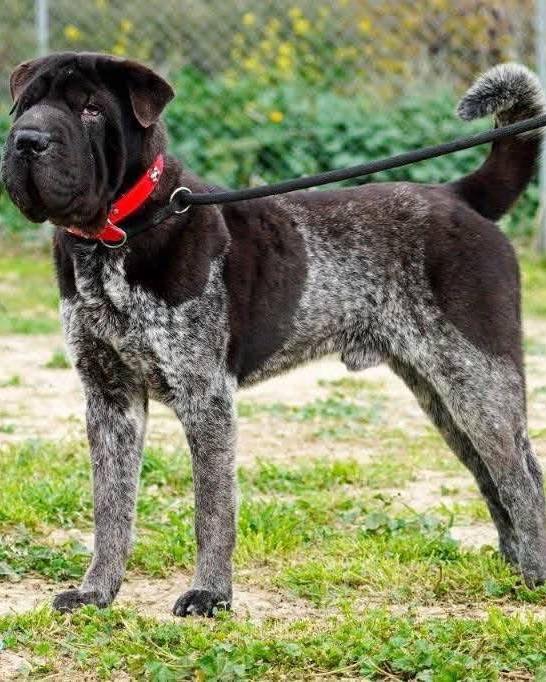 591450161_857856116757567_6777851065466731622_n