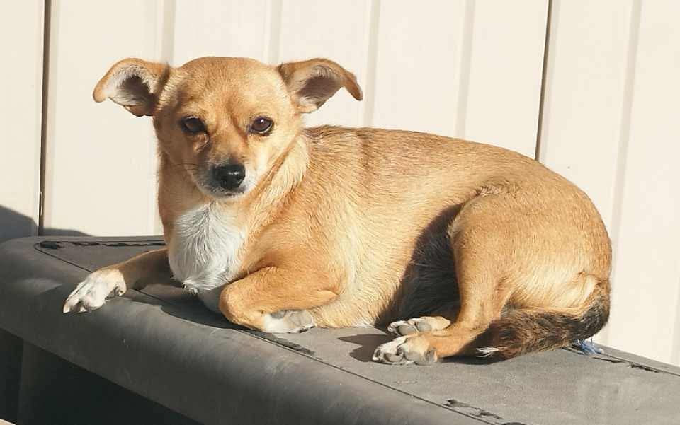 62510ad7542411d1ec93477d3770cfc9