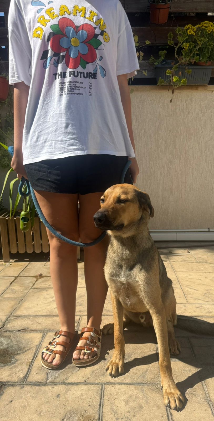 77fed940-99f3-4dd1-8483-496a59ad1db7