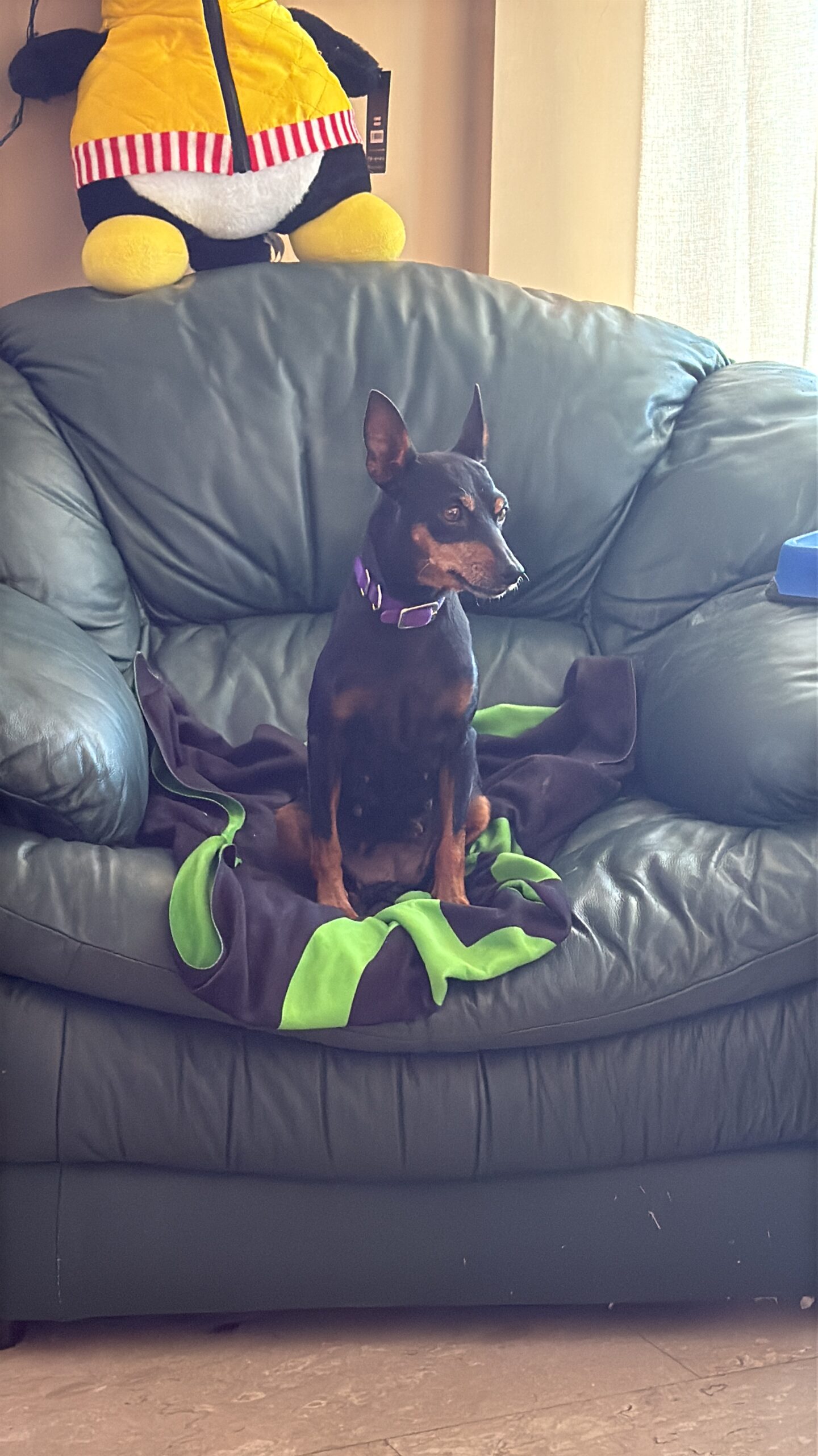 88CD5221-8FEF-4FC2-BBCA-3380958EED4A