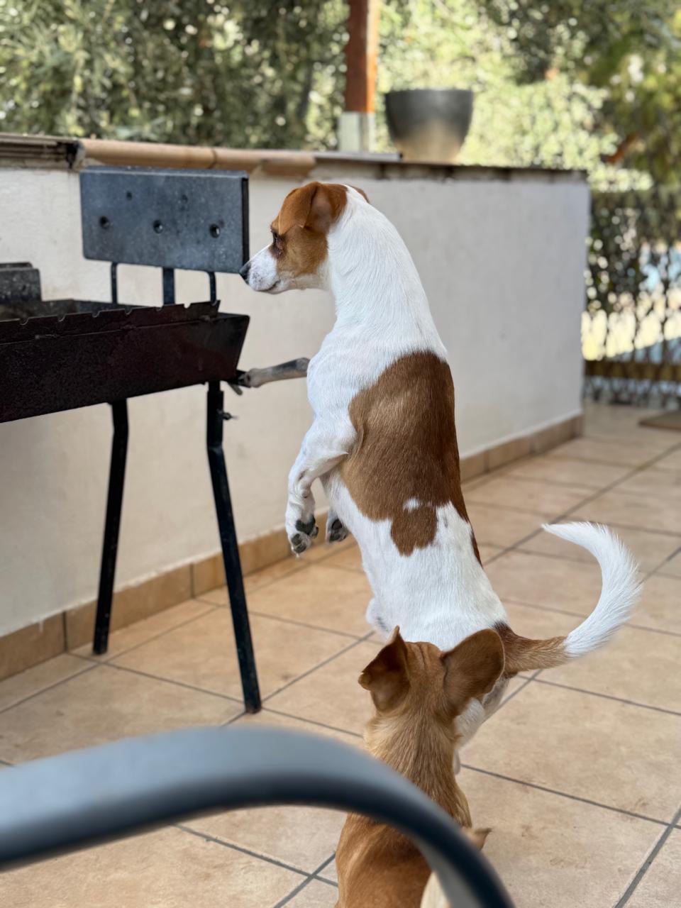 8bde0563-b441-4a23-b401-582d5d940a5d