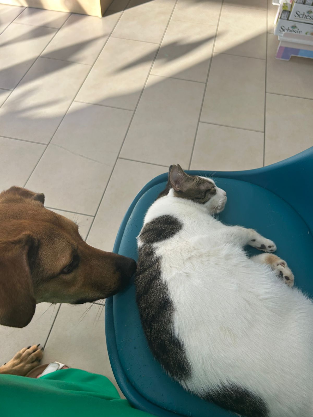 9489099c-d130-4923-b4bd-bfbb16b20c4a