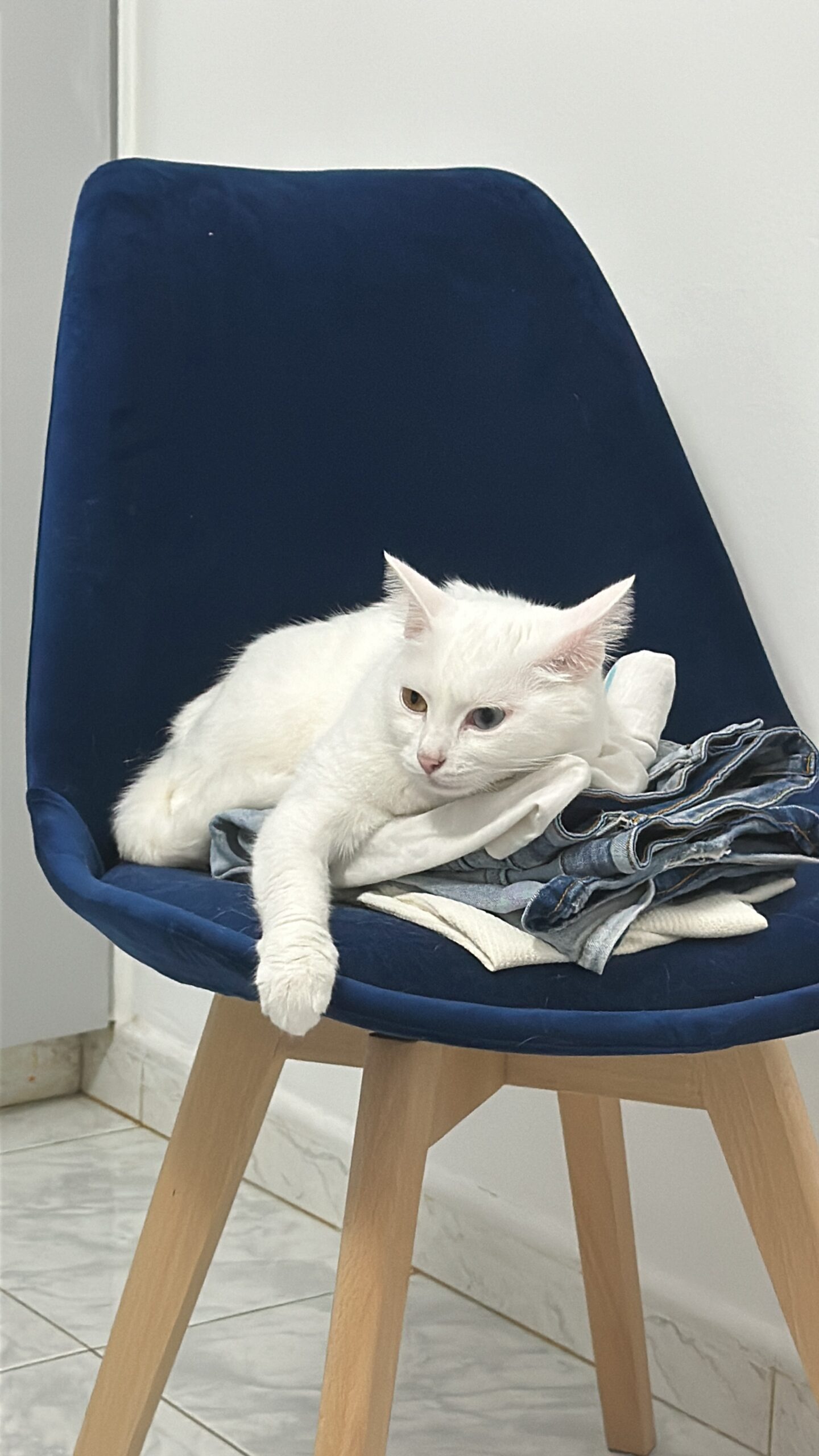 C9009AA9-6C6C-4180-89B0-505D5DC834A3