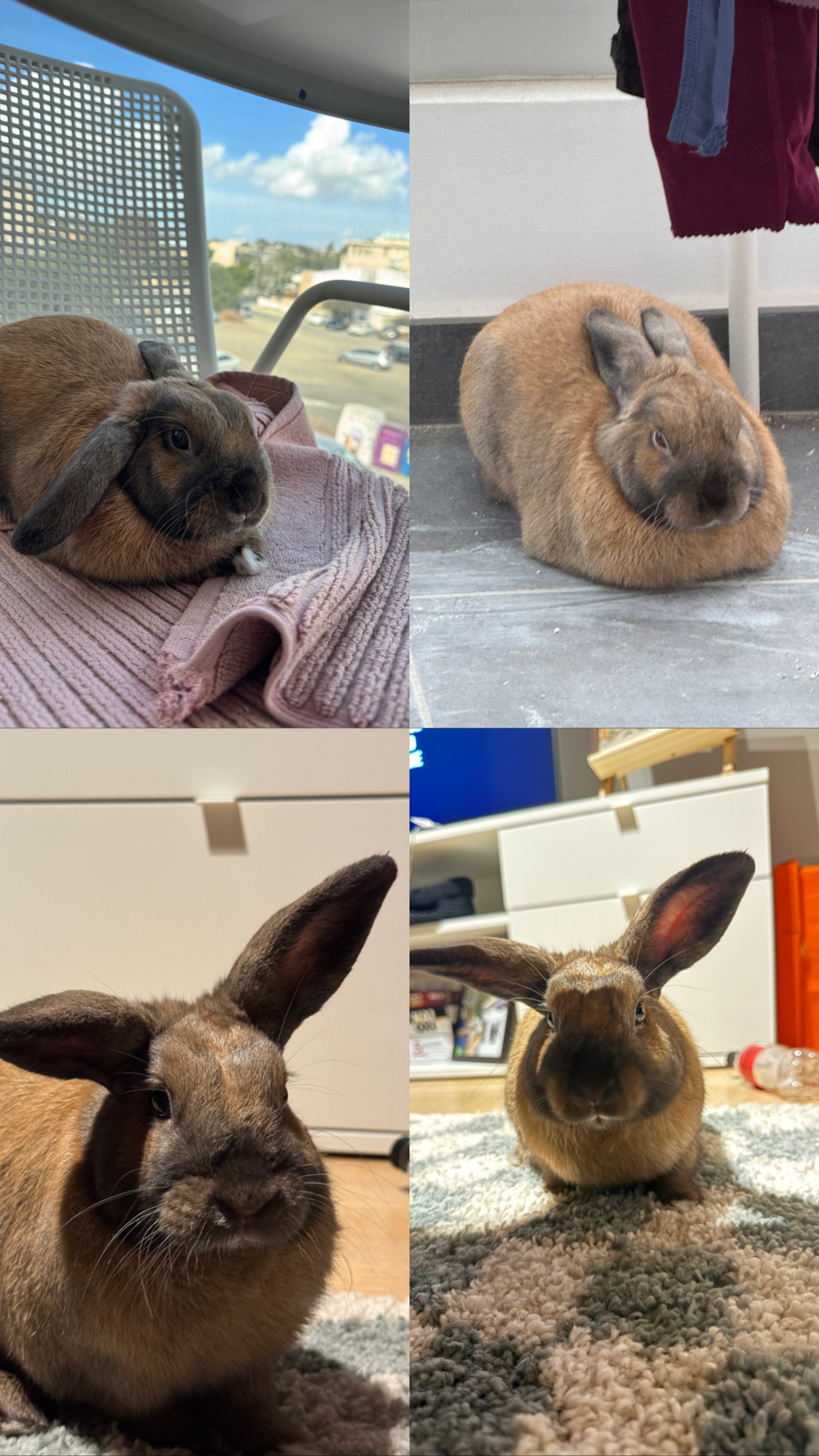 F637BB0F-22EF-4F90-9828-A64A127429EB-1