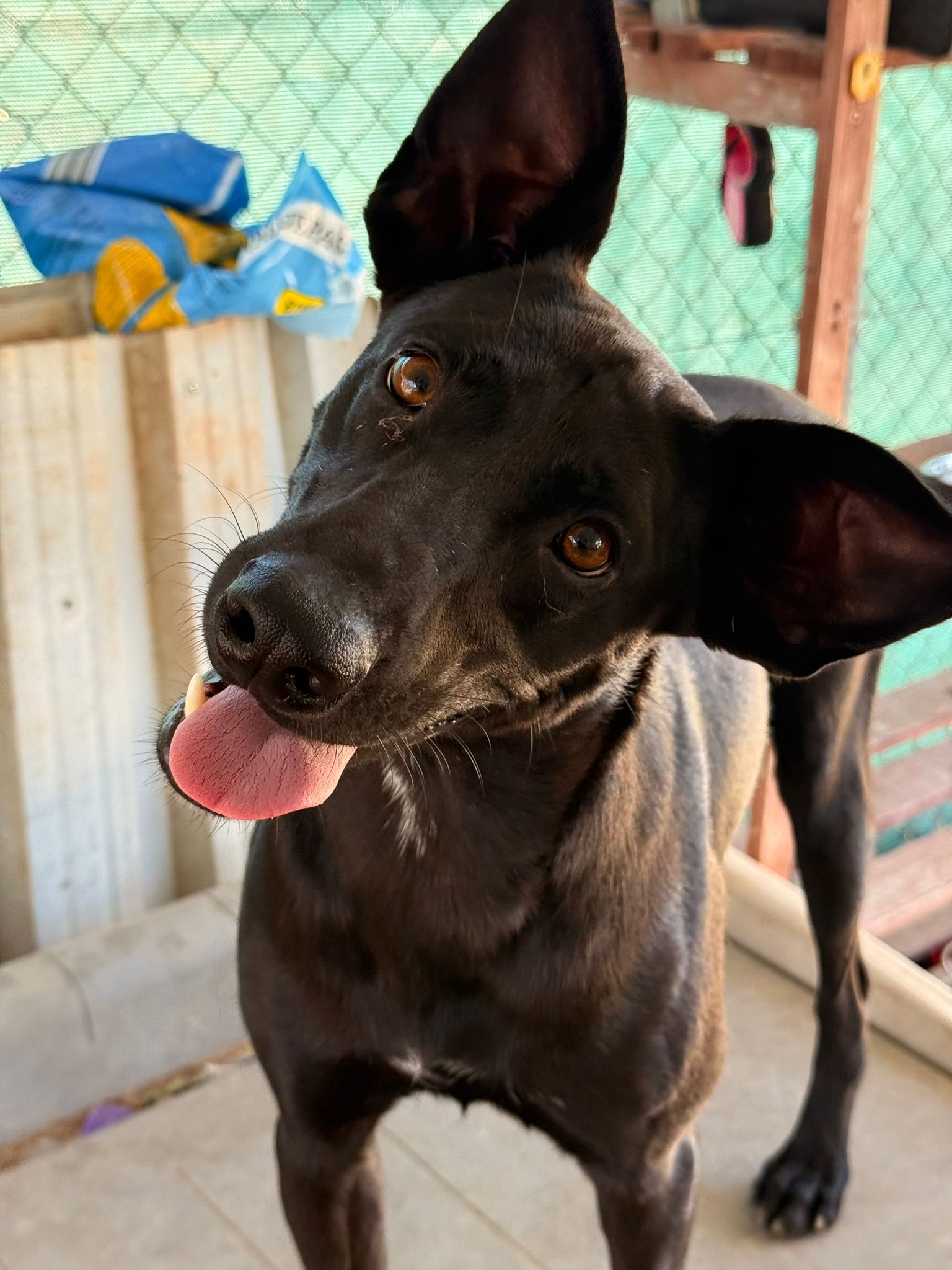 IMG-20250816-WA0004_103310