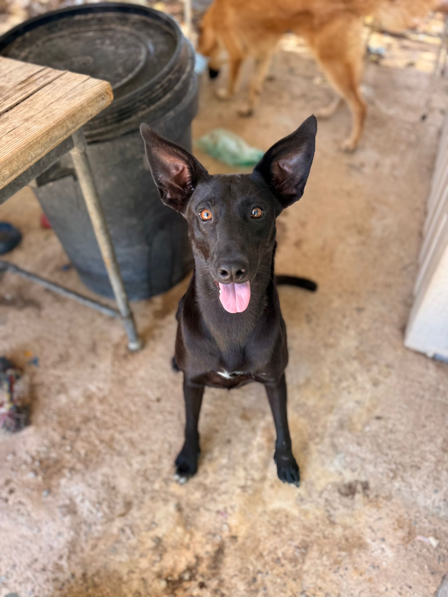 IMG-20250816-WA0005_103336