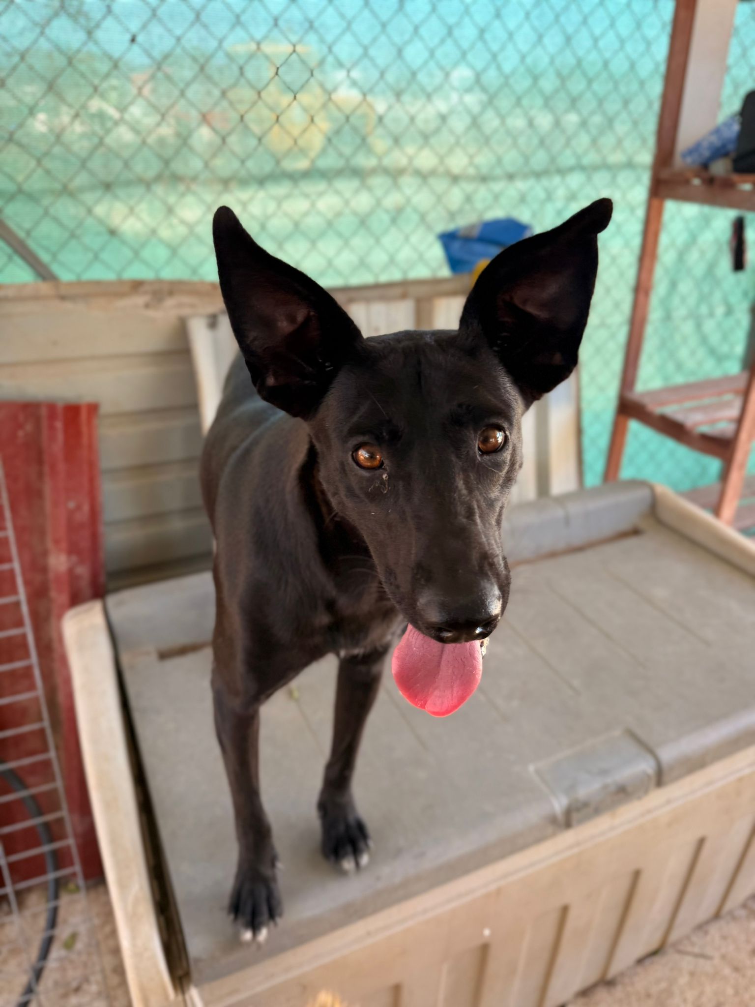 IMG-20250816-WA0006_103402