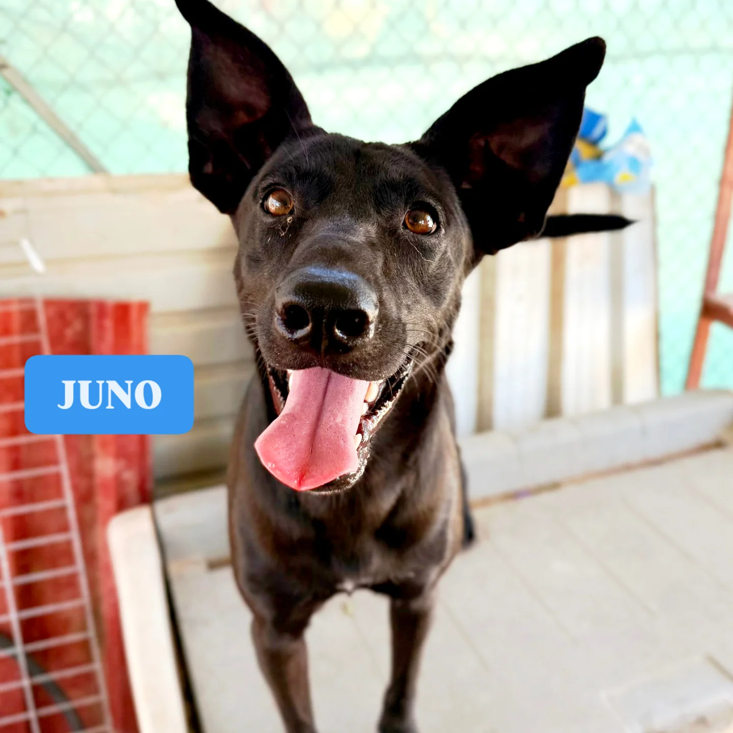 IMG_20250904_153717_586