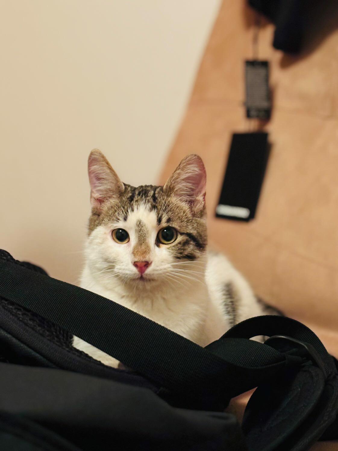 IMG_20251107_071717_646