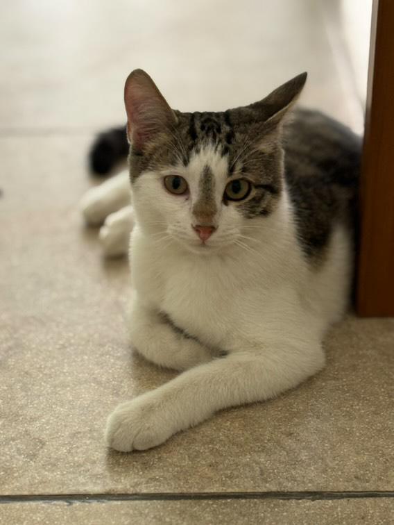 IMG_20251107_071755_902