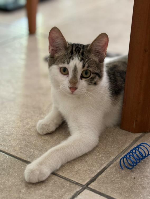 IMG_20251107_071802_810