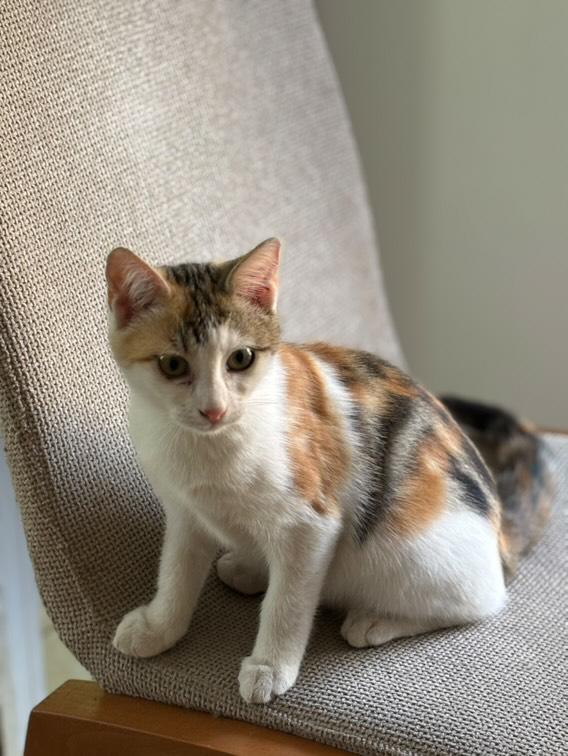 IMG_20251107_133652_272