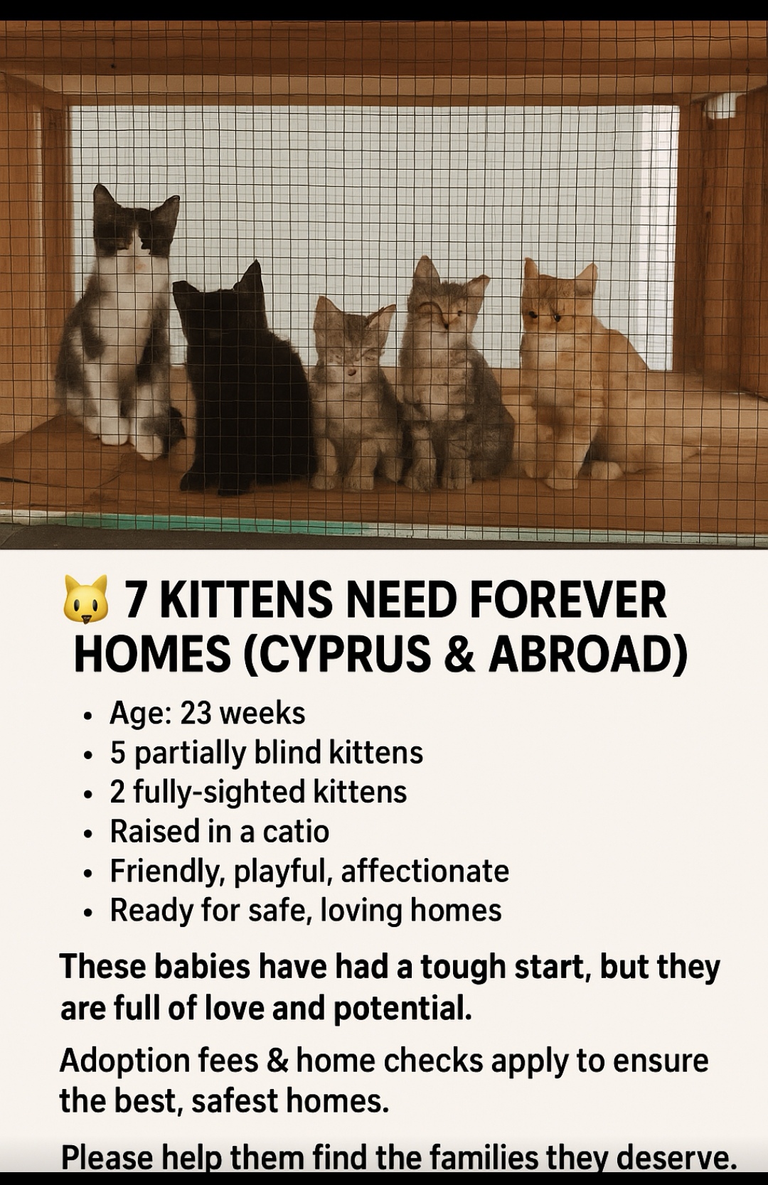 Screenshot_20251114_131627_com.openai.chatgpt_edit_585949757885067