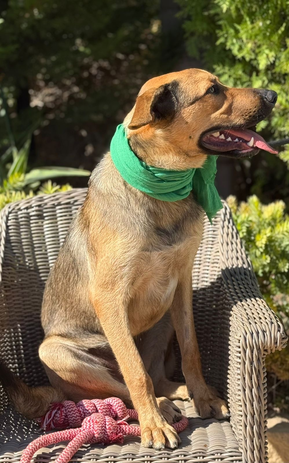 a1788203-8798-44f8-baa0-367d56256083