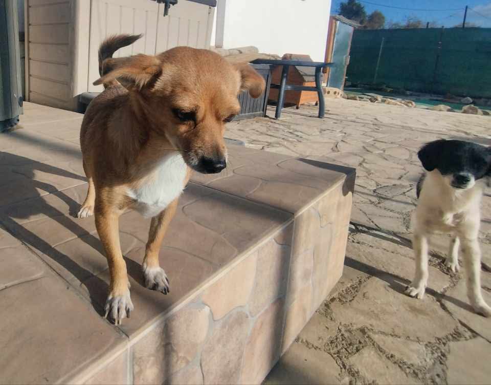 a38cdf9c48085a97ca651b466dd426ee