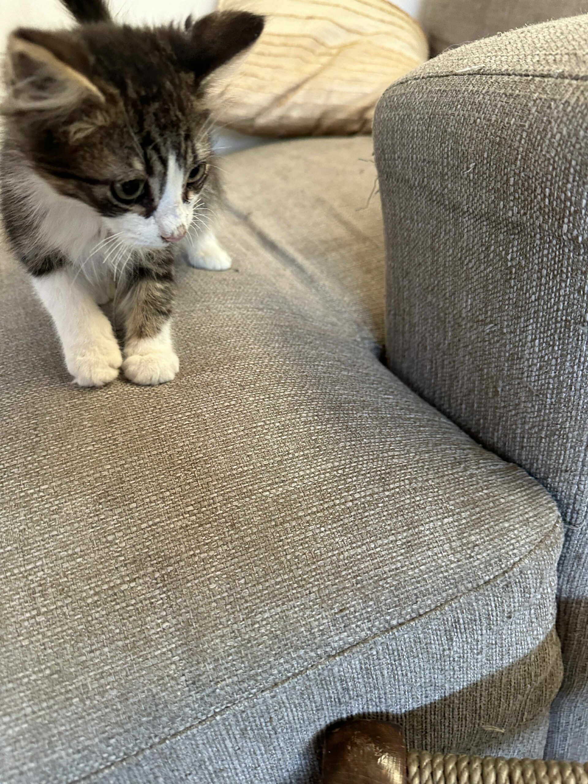 att.-PV1-LMueyPvWif-hhoQIZTmxQXuVPoHMy6YcaBLJqo