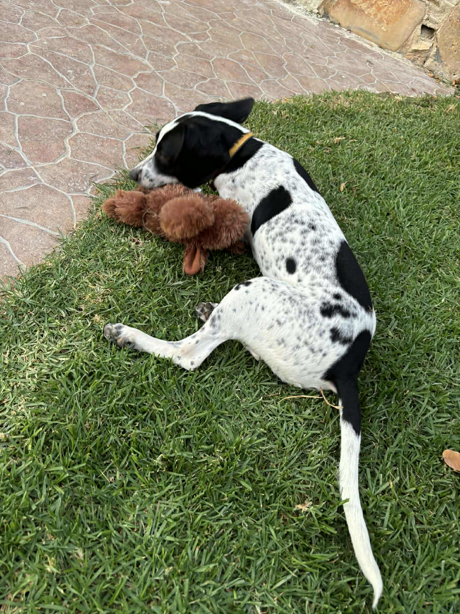 att.39AkqRMI5B6bmjaGpJqGN32Nhx7ZFoE8yGiPVXsaMSs