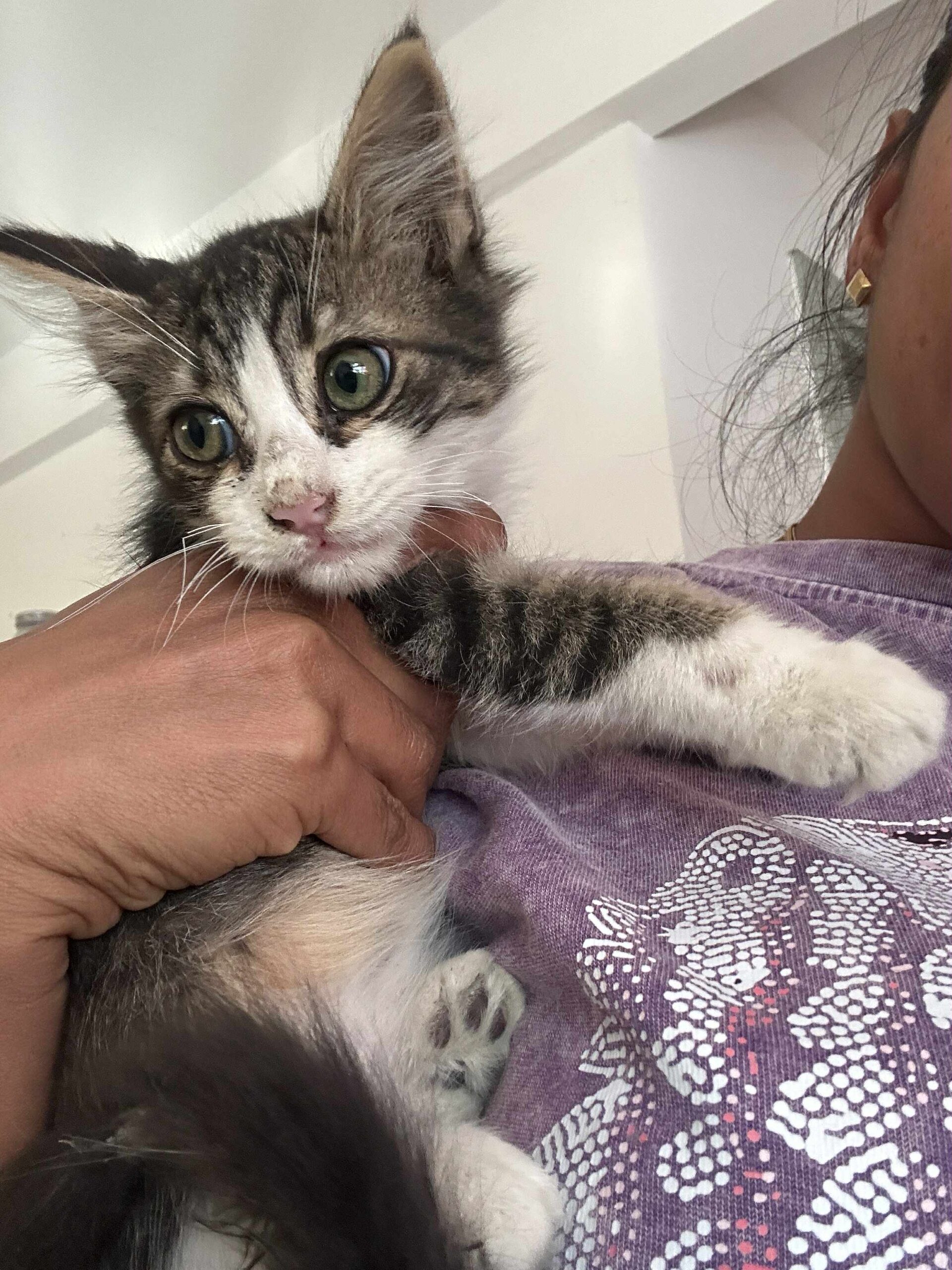 att.5WRgnava0hoTy_fUGpHTTz4aC62ZiE3NolpGkO987mI