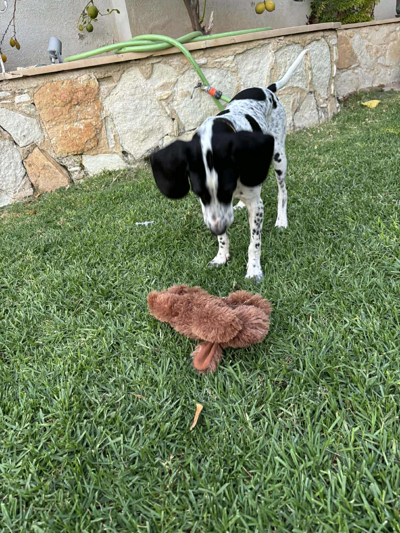 att.Is34dl-HJjPzSTbZu8w7c2WQwv-1ti-5xgDOKrYop3g