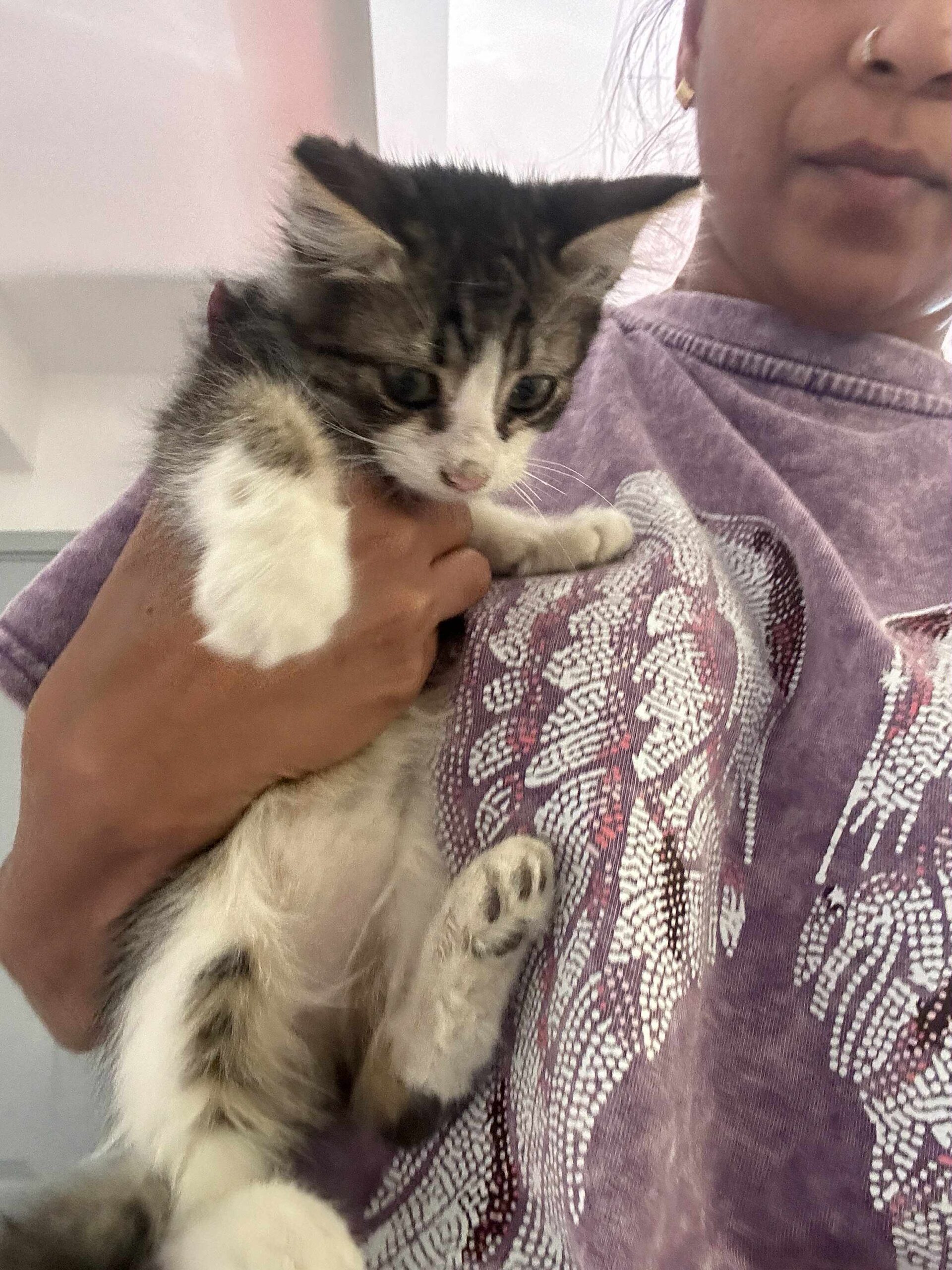 att.MJAFY_cChdty2OXzOApeiejKRzgDG2EtyBc2YeiEn38