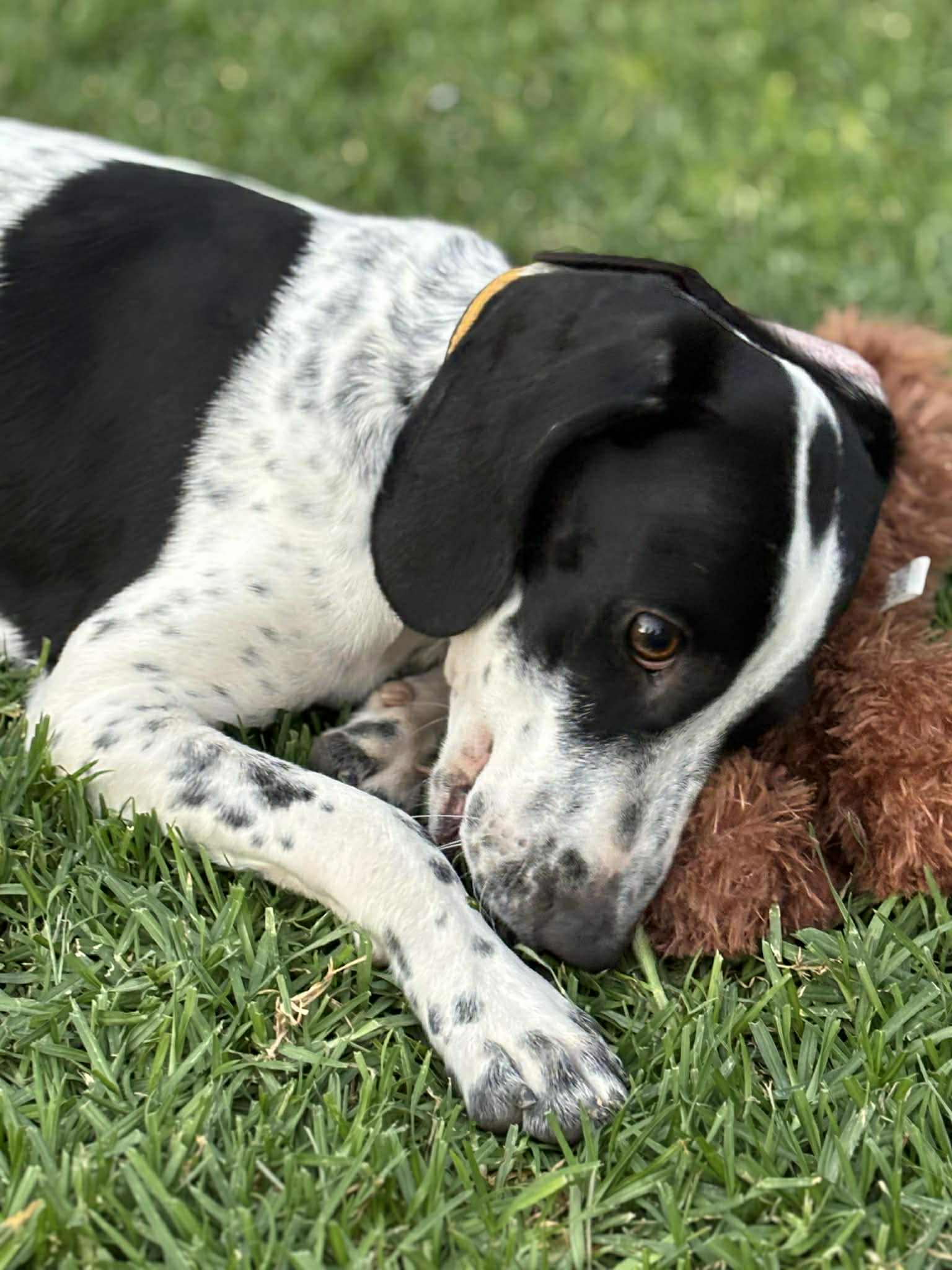 att.OBTQz5LcY7gMzDmiB8pc4w1EUtU2mXppZz9AIfrVWIU