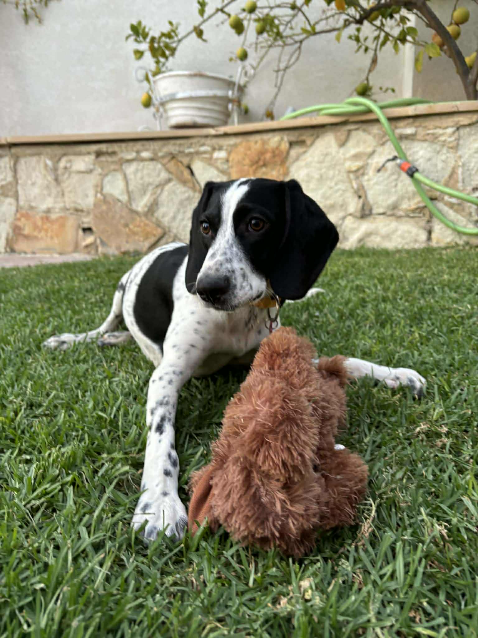 att.kP0NlGghWhg0P3E_ErhtPt7M8JnPKp5oprNmomfG8ls