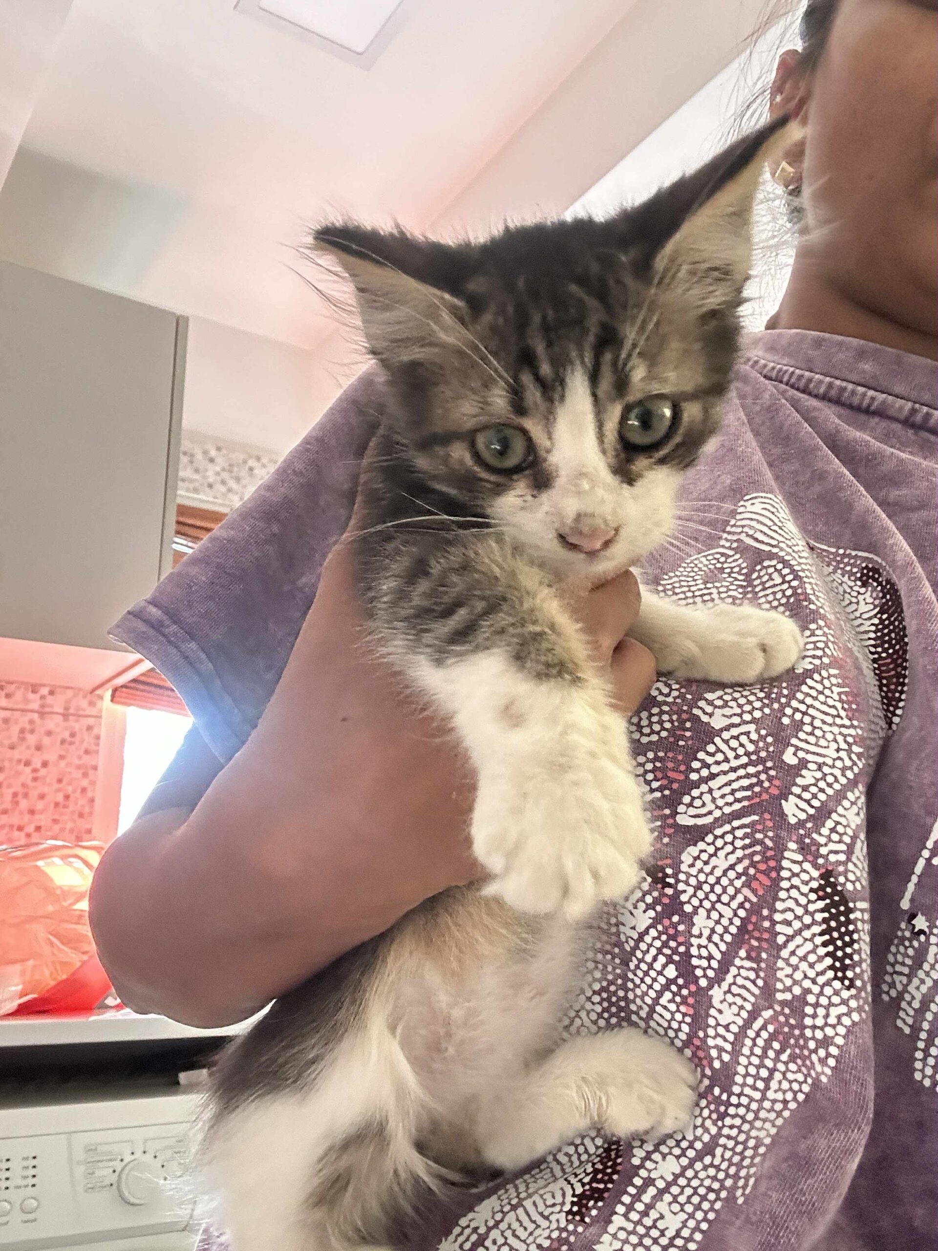 att.s1Xr2s6PwquxA_czosn0aCqJsc5iuce9AOHHTqYzX2Q