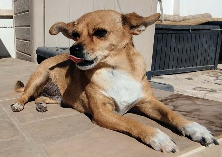 d6f9852d6bf753c5accc875946220f49