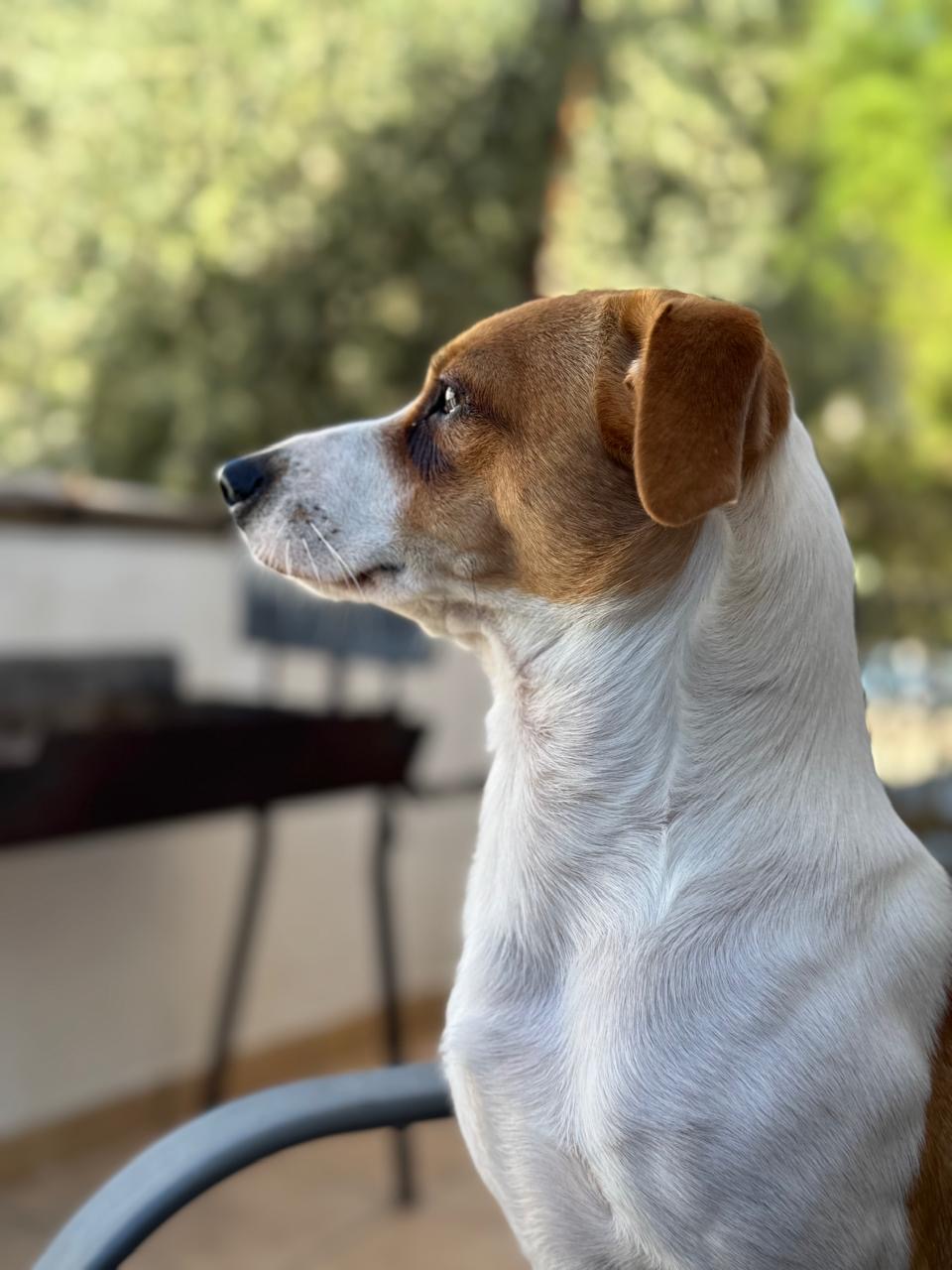 fba1b61c-260b-4b67-9999-21d02a76fb65