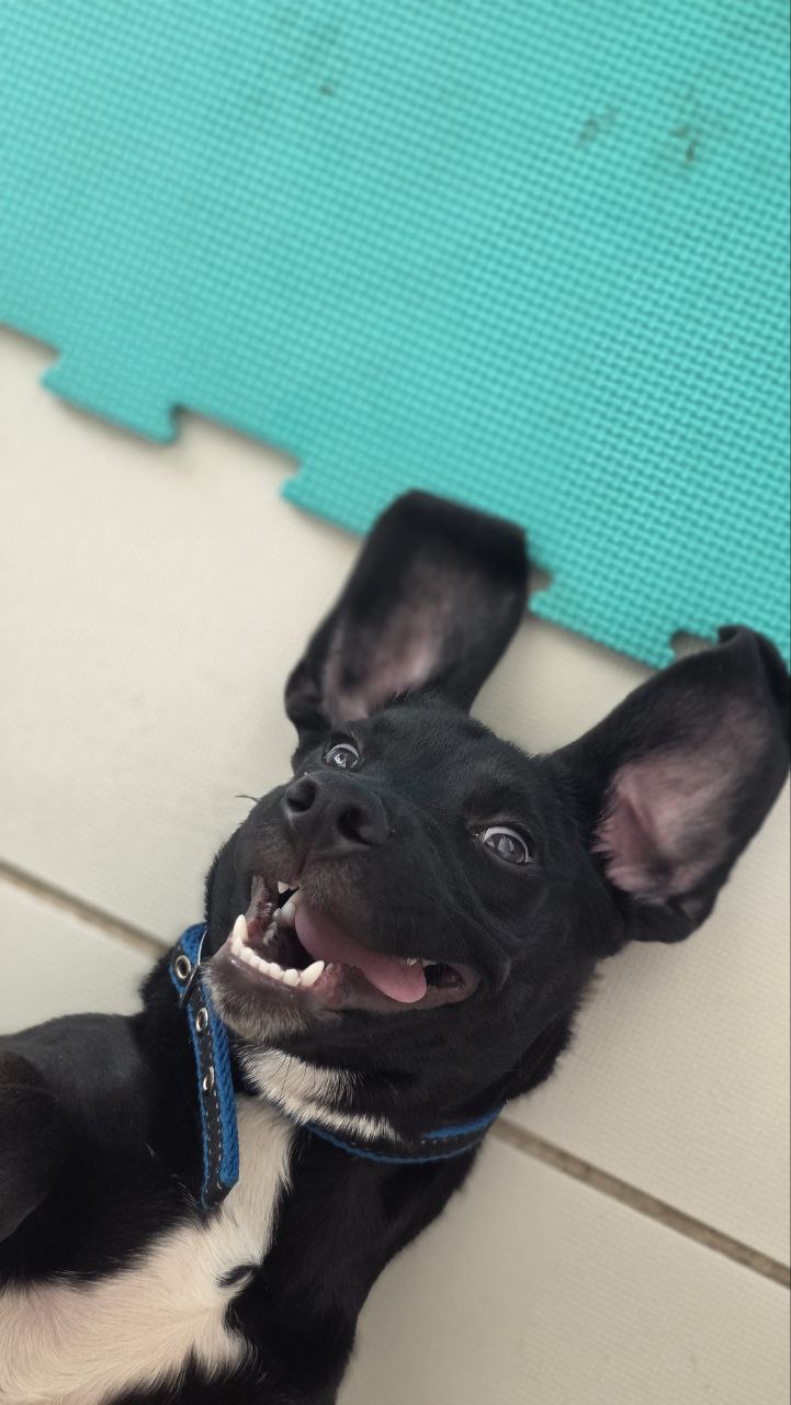 photo_2025-11-02-15.15.11