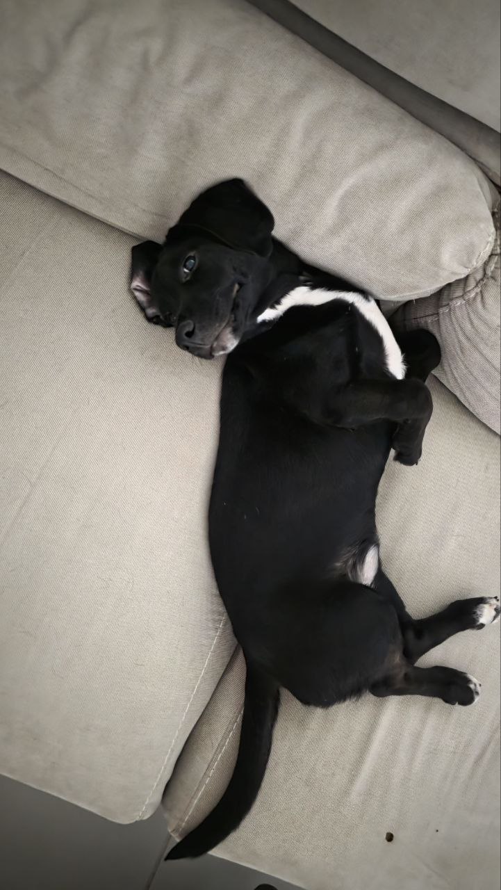 photo_2025-11-02-15.15.13