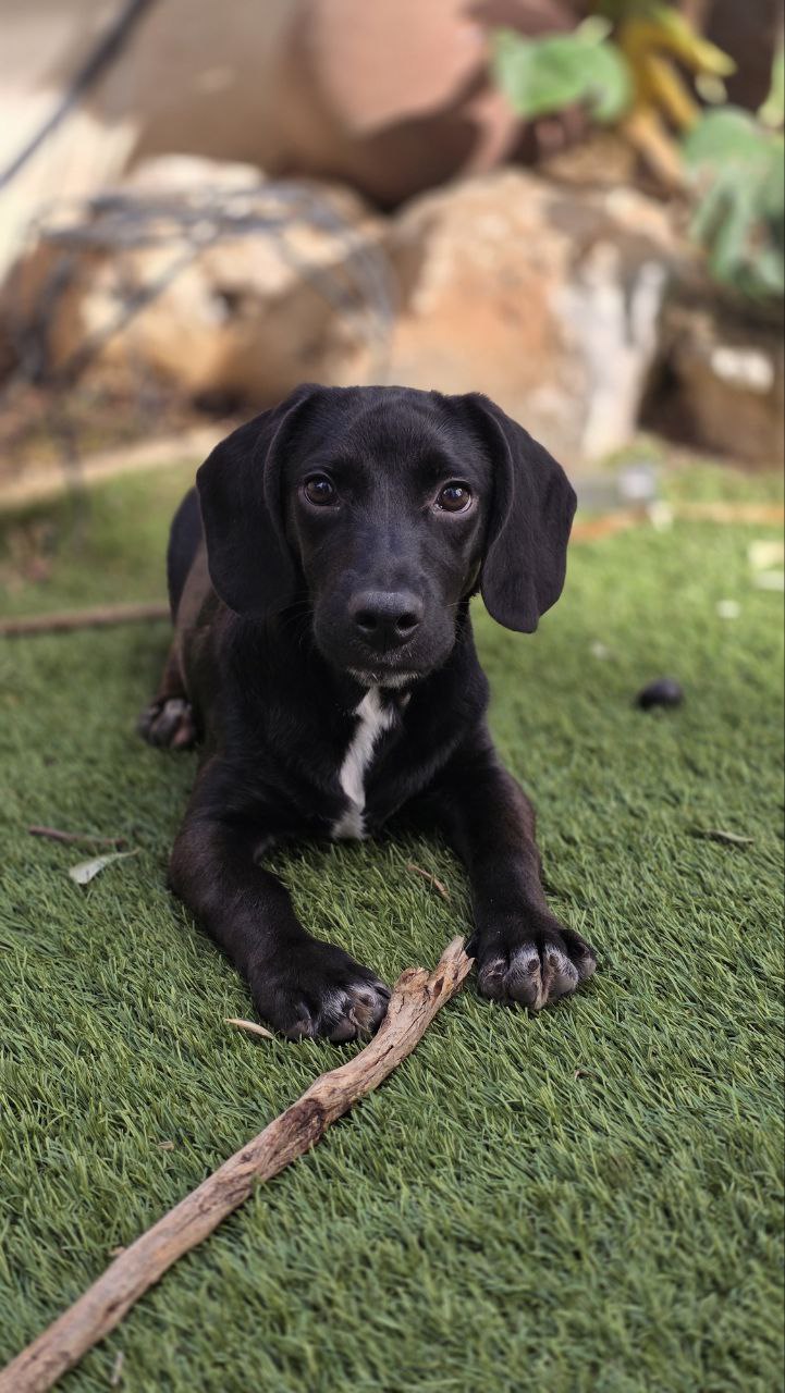 photo_2025-11-02-15.15.15