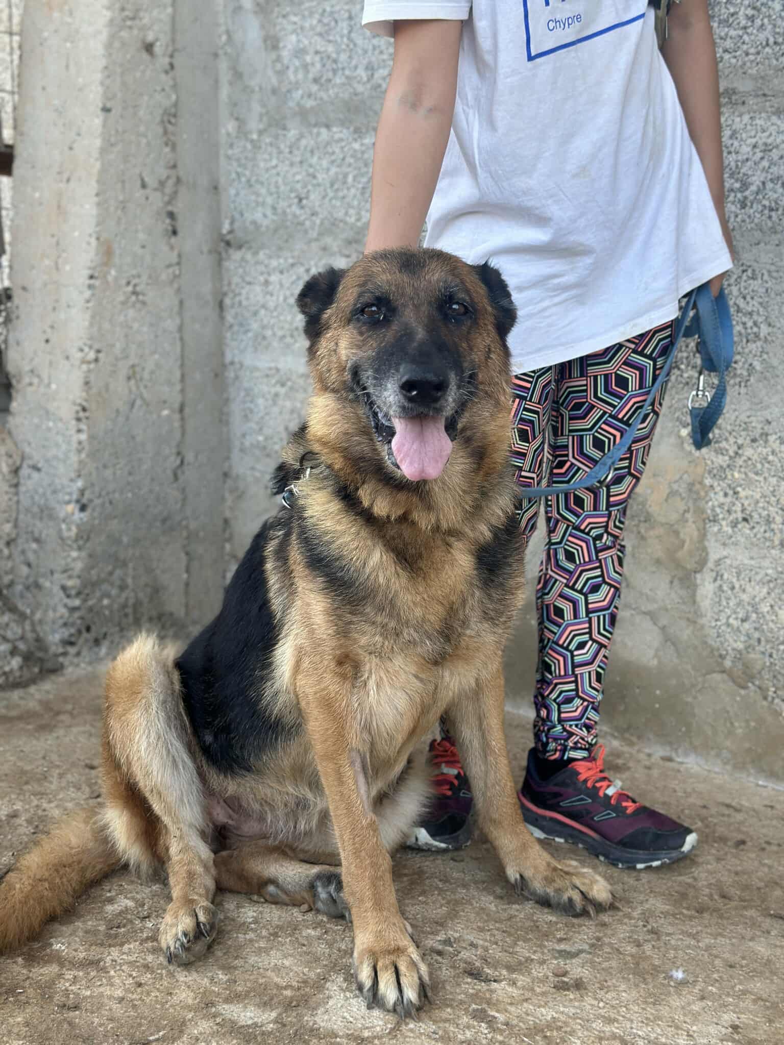 received_1975419676613606