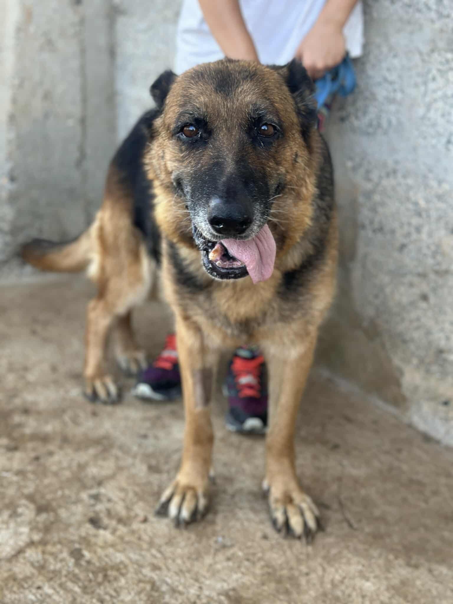 received_787913844223695