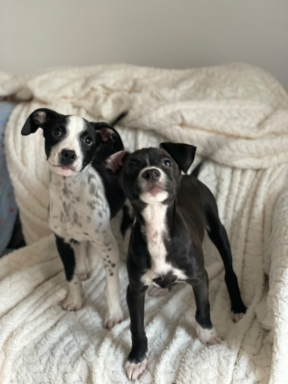 40128939-A3FA-4D66-9D4C-E82C846B0D56