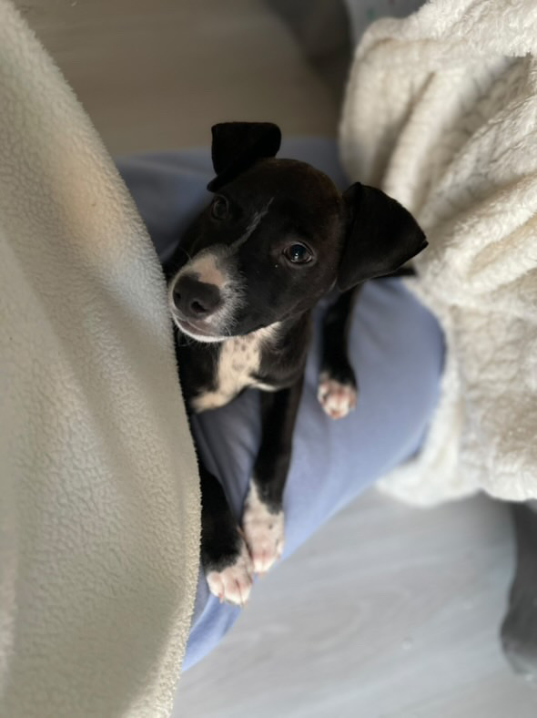 43C3C749-EE7F-4210-BDFC-11429D5EA4EA