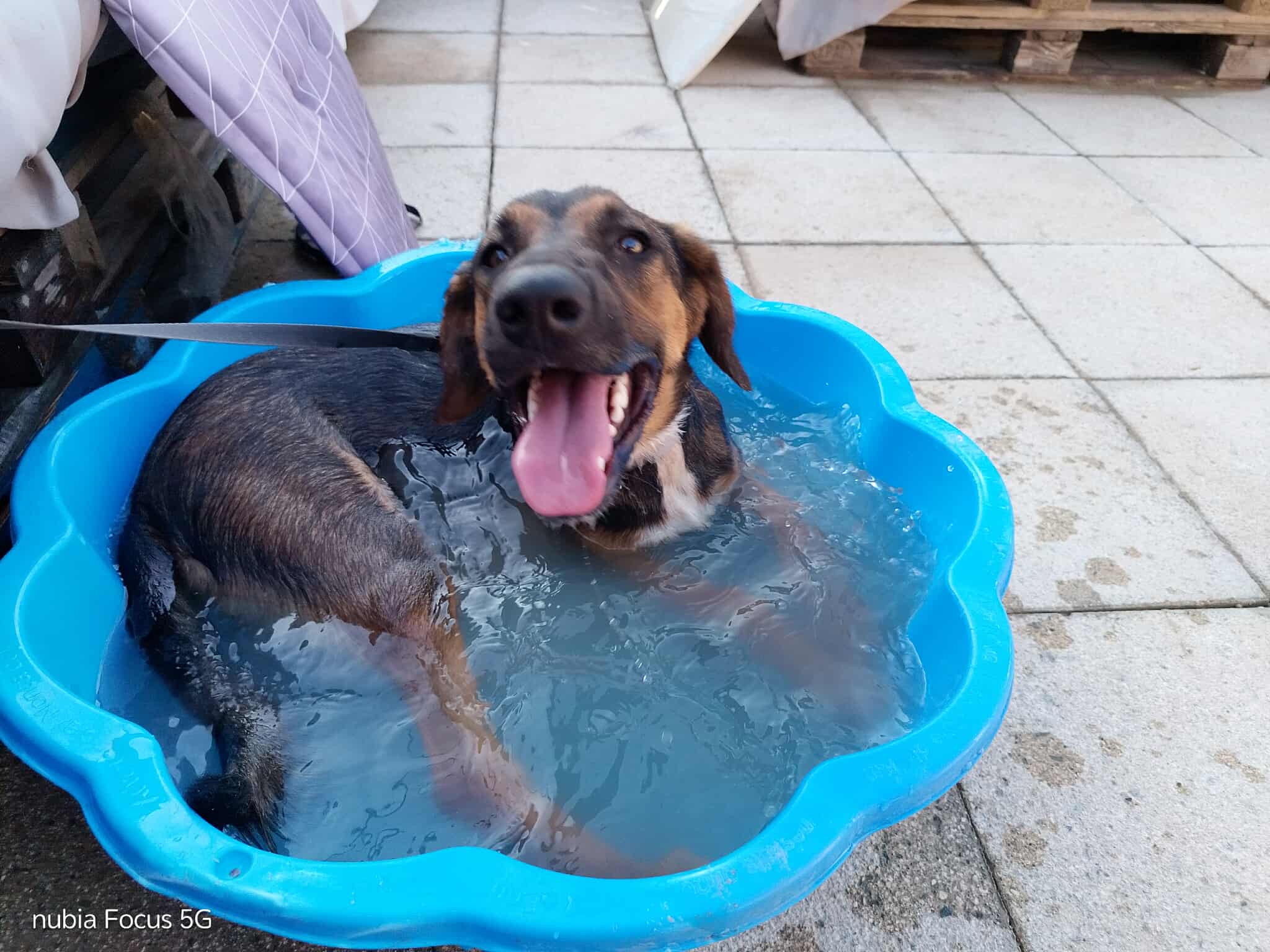 540698344_848664570817346_2626853149725371634_n