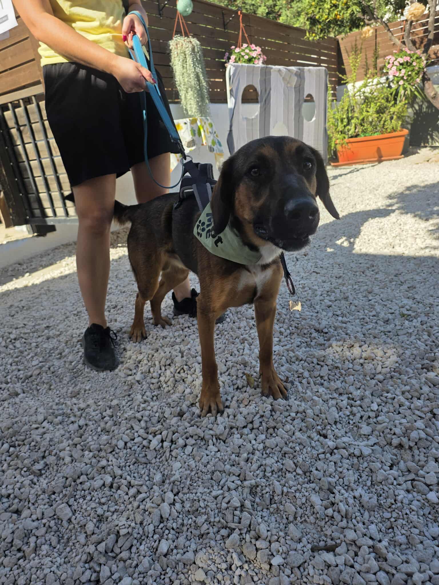 584540964_914186294265173_2681761923036473044_n