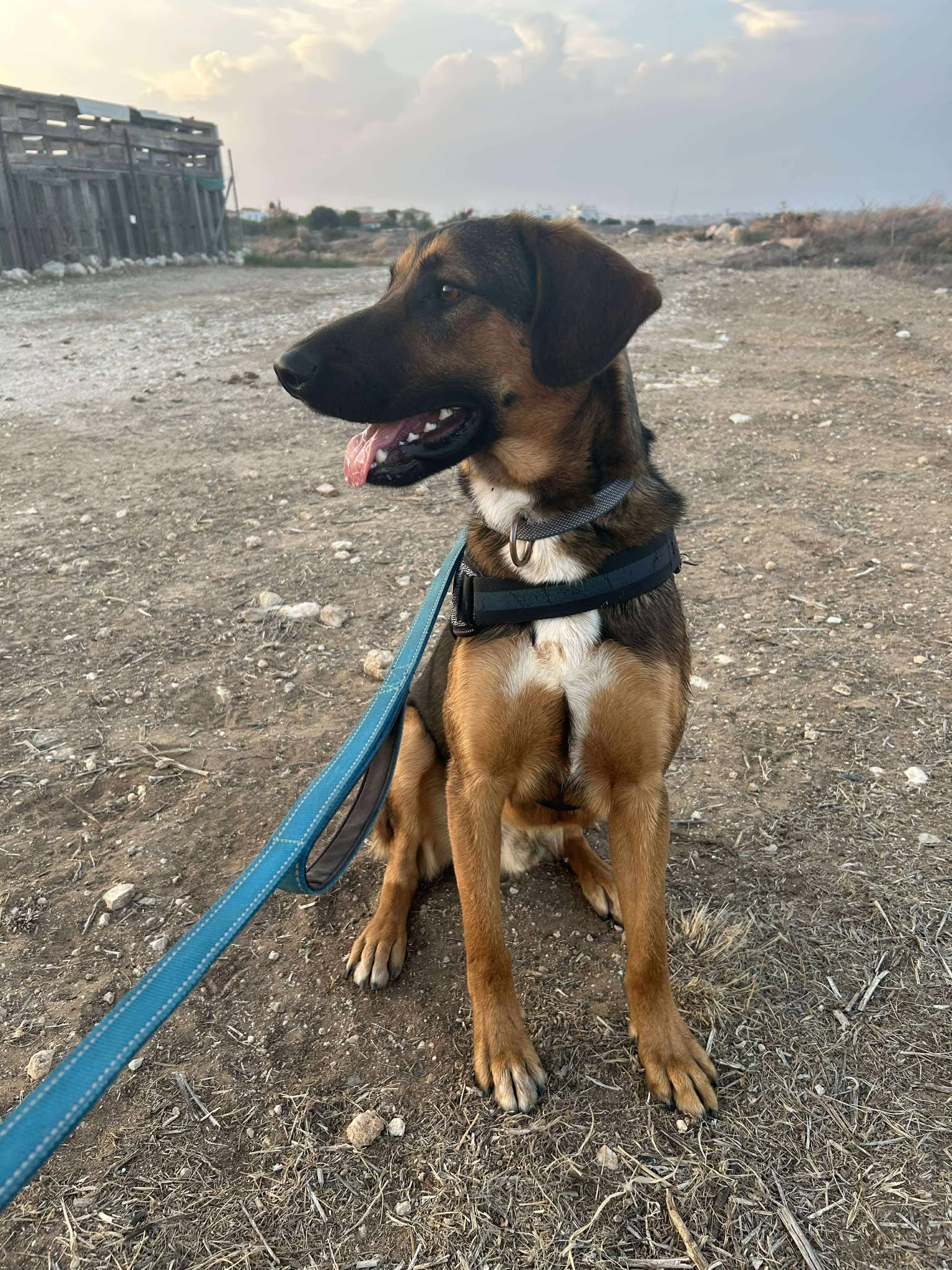 585494949_914186517598484_6875027691363447035_n