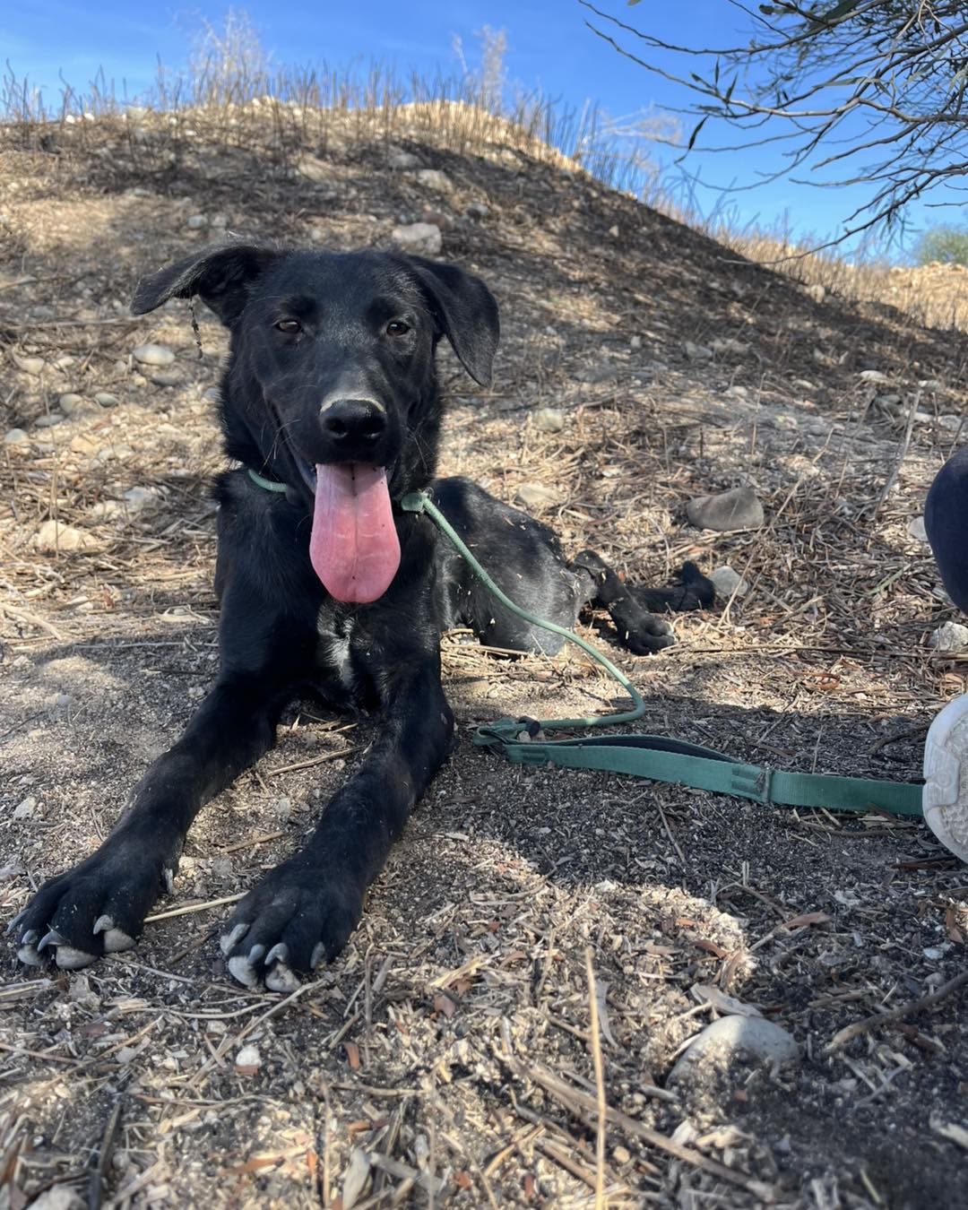 594365164_863794712830374_7884243835703464259_n