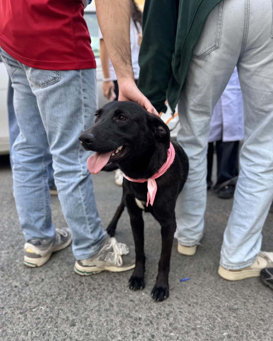 597380781_863794736163705_6403175112098771279_n