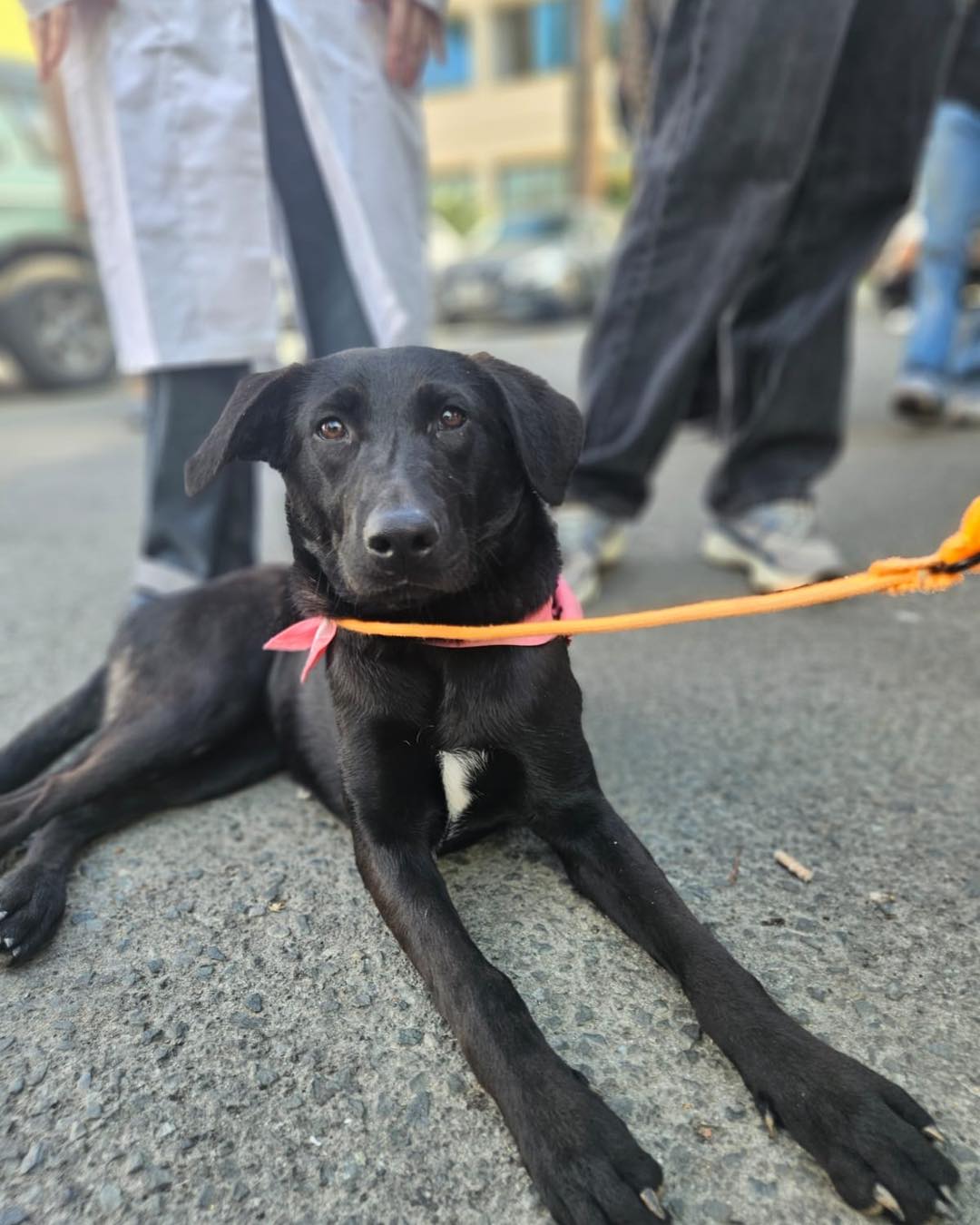 597492127_863794692830376_6099534293798961201_n